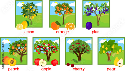 Set of different fruit trees with ripe fruits and title. photo