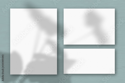 Several horizontal and vertical sheets of white textured paper on the background of a grey wall. Natural light casts shadows from an exotic plant. Flat lay, top view