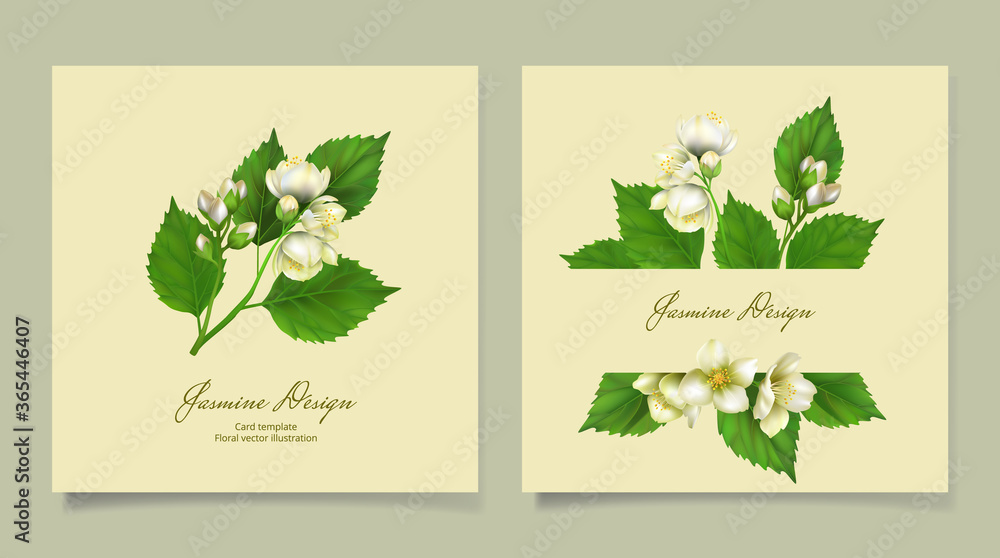 Floral card template with jasmine. Vector illustration for design greeting cards, wedding invitations, natural cosmetics, packaging and tea.