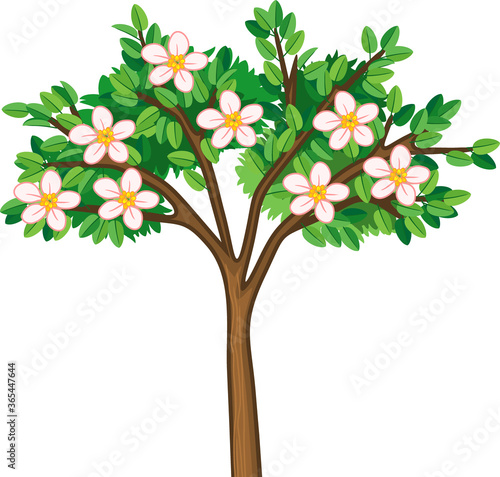 Blooming apple tree with green leaves on white background