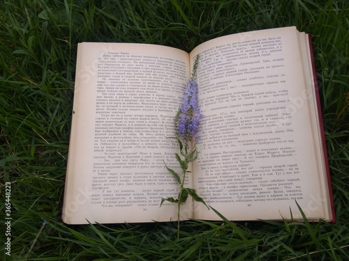 book and grass