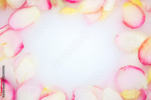 Pink rose petals in healing rose water with milk. Milk water with rose petals. Beauty spa and wellness treatment with flower petals in bath with milk. Frame. Copy space. Flat lay.
