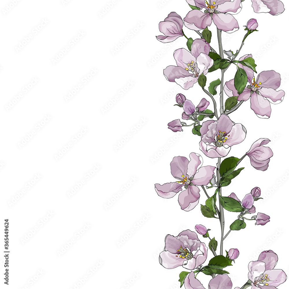 Floral vertical seamless border of pale pink flowers on branches, apple blossom on white background. Hand drawn. Copy space. Vector stock illustration.