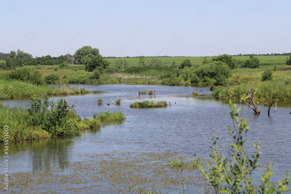 a beautiful river adorns the landscape and gives life to everything around a beautiful river adorns the landscape and gives life to everything around