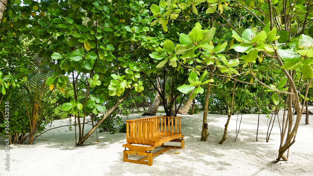 Relax in the tropical garden. There is a wooden bench on the clean white sand in the shade. Around trees, palms. Maldives.