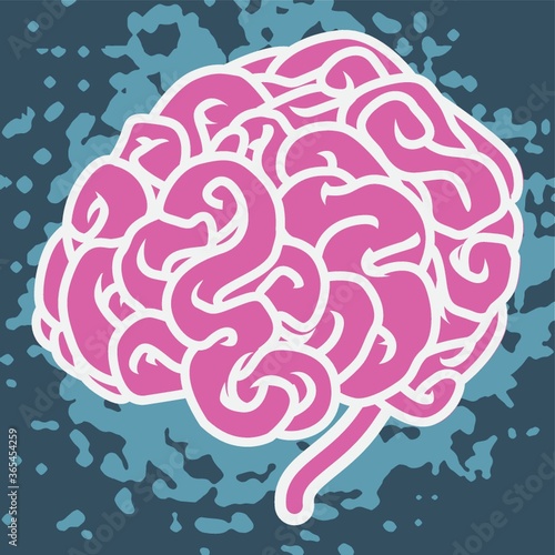 human brain