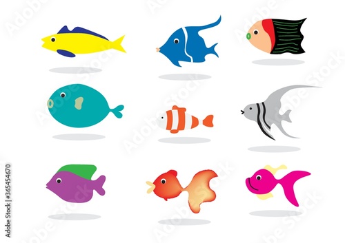 collection of fishes