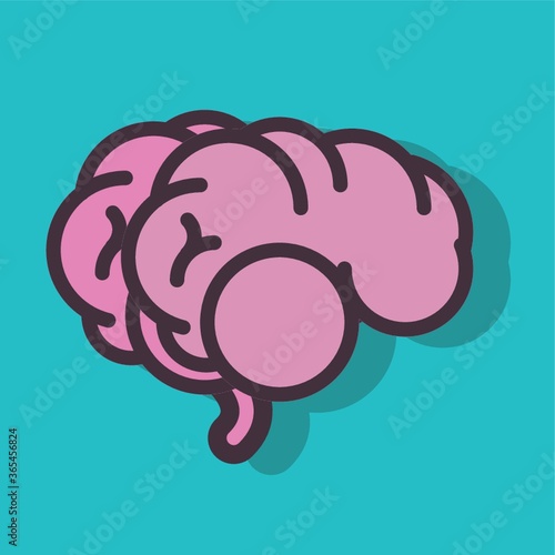 human brain