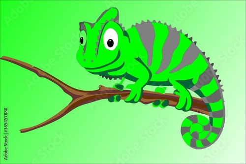 chameleon on a branch © Oleksii