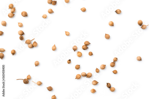Coriander seeds isolated on white background