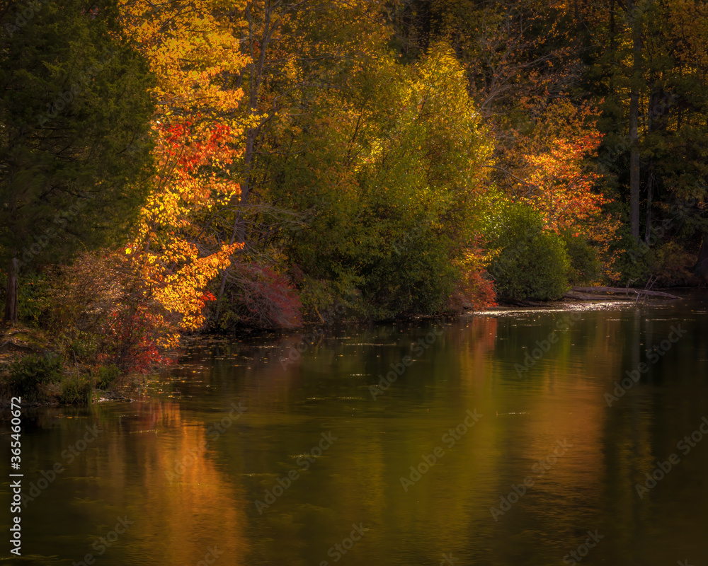 Fototapeta premium JayOBrien/JaynesGallery/DantaDelimont.com