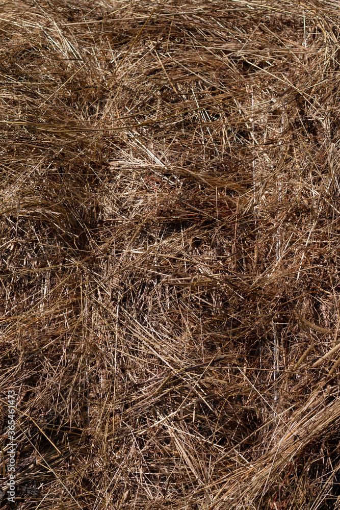 textured abstract background of straw textured abstract background of straw