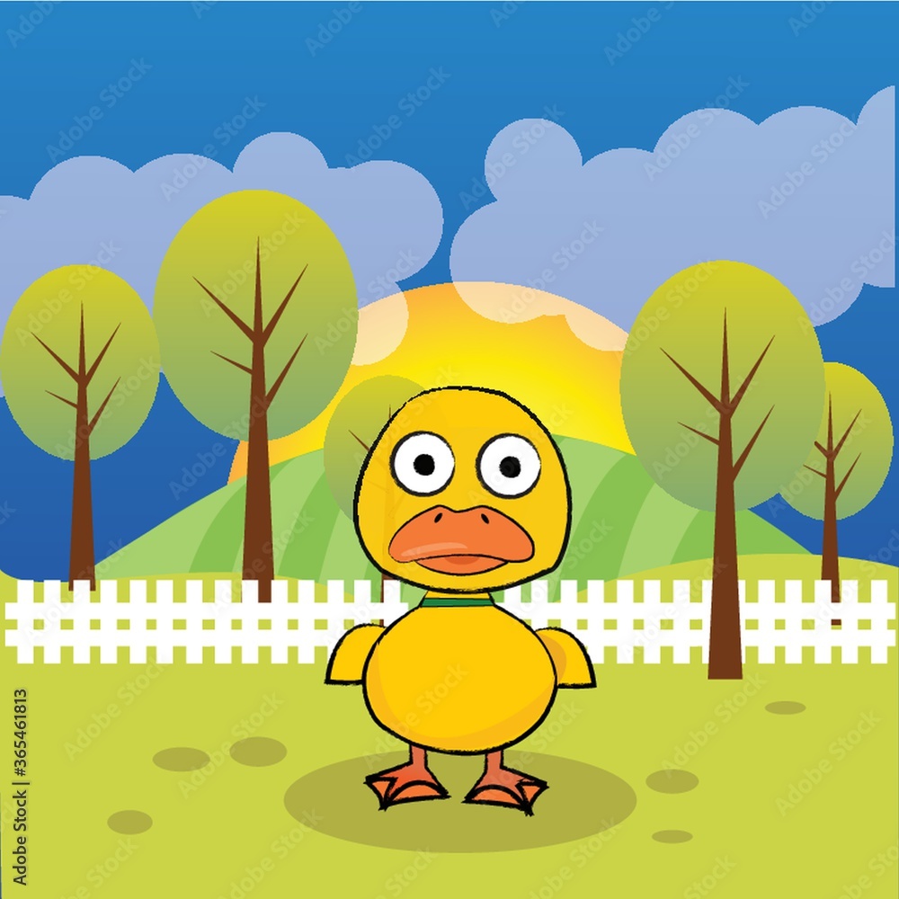 Fototapeta premium duck in a field