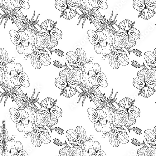 Monochrome floral seamless pattern with hand drawn pansy flowers on white background. Stock vector illustration.