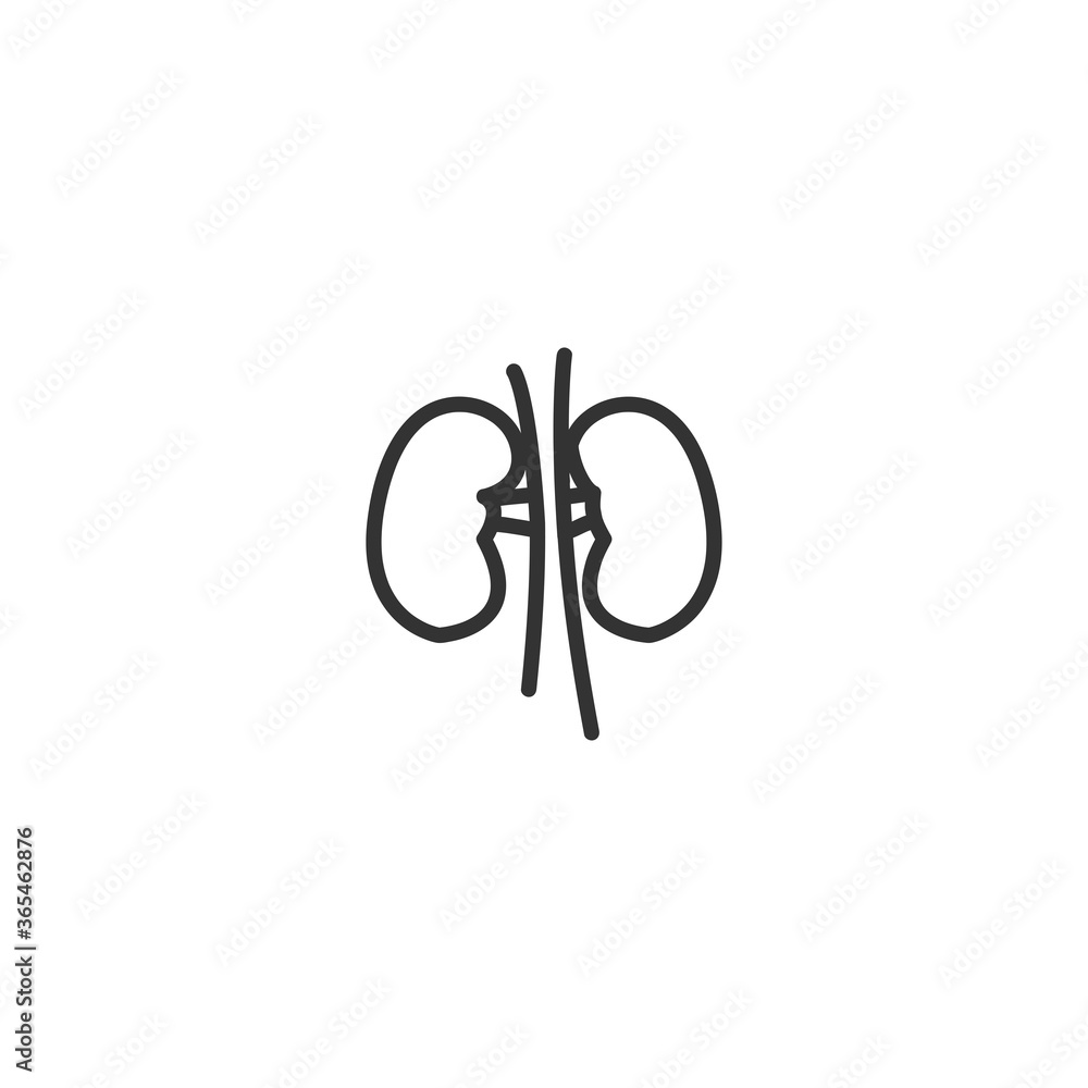 Kidneys isolated line icon for web and mobile Kidneys isolated line icon for web and mobile