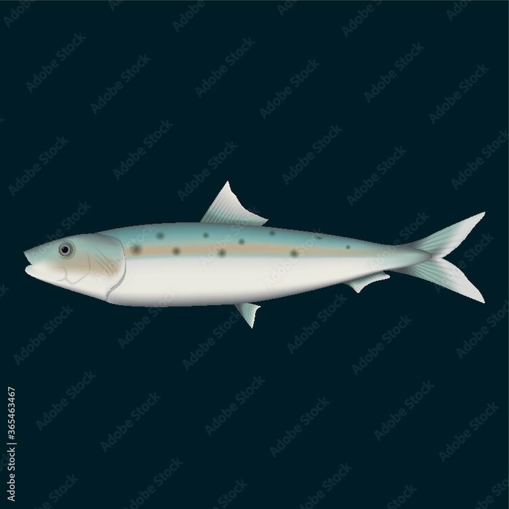 Fototapeta premium fish