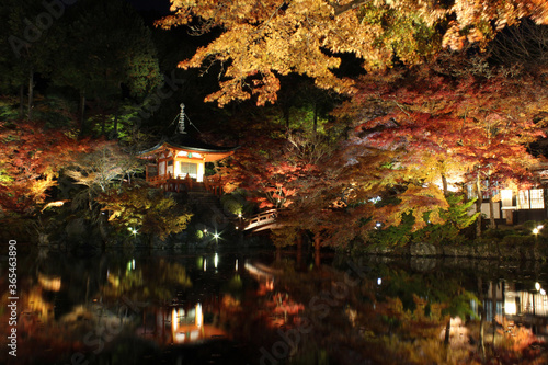 京都　醍醐寺の紅葉 © kenji