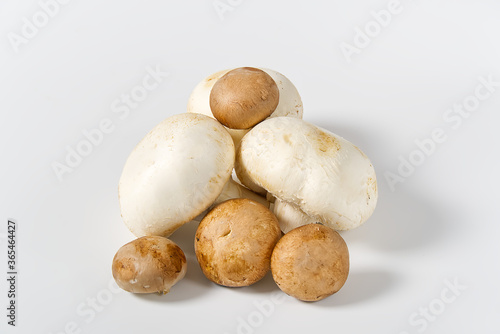 Fresh champignon mushrooms macro shoot. Close-up white and brown sliced champignon.