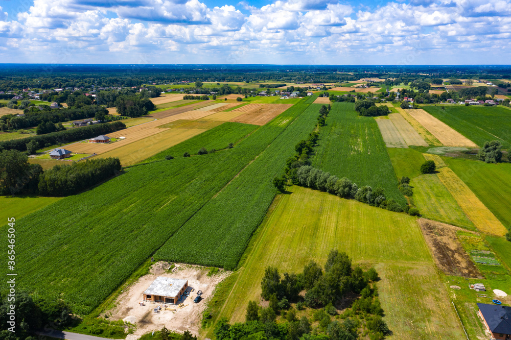 Aerial panorama of agricultural fields - plowed and with crops on bright summer day in