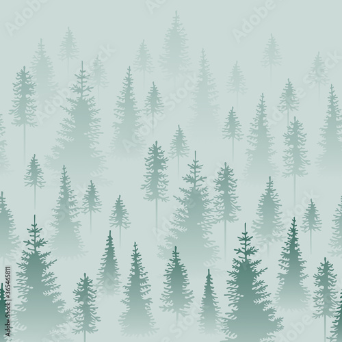 Foggy coniferous forest. Grey and green firs in the haze.