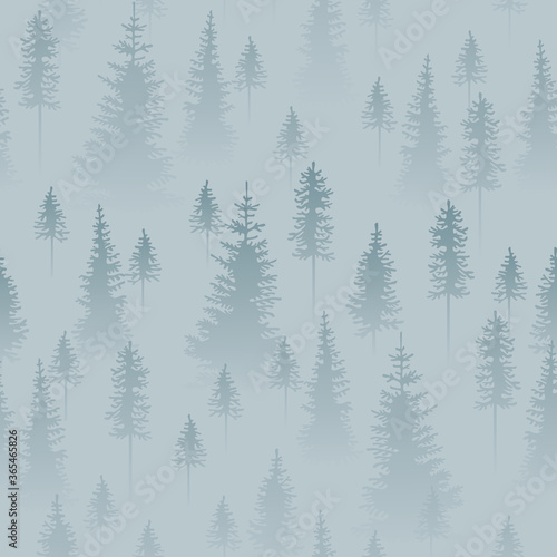 Foggy coniferous forest. Grey and blue firs in the haze.