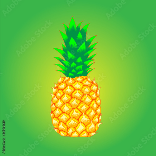 vector image of a pineapple