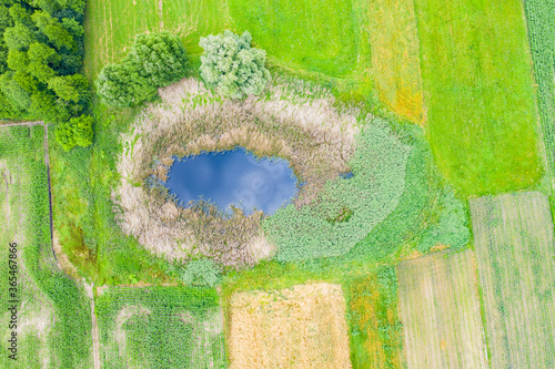 Obraz na plátně Aerial view of natural pond surrounded by pine trees. Europe