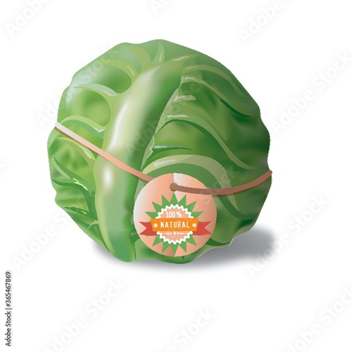 cabbage tied up with tag