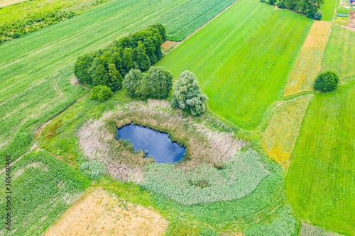 Obraz na płótnie Aerial view of natural pond surrounded by pine trees. Europe