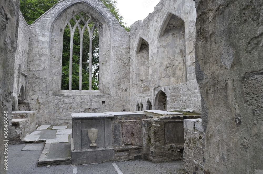 Fototapeta premium Muckross abbey, Ireland