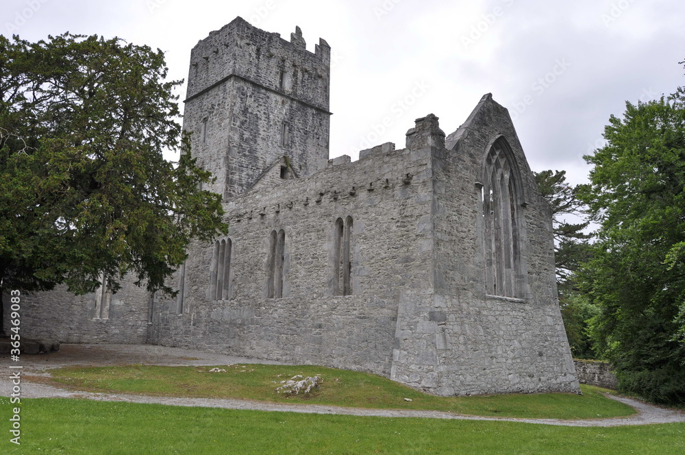 Muckross abbey, Ireland
