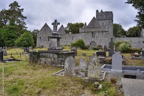 Muckross abbey, Ireland