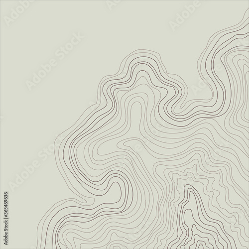 topographic map abstract height lines isolated on a beige background vector illustration