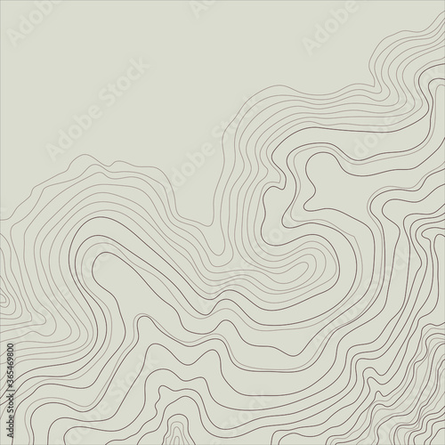 topographic map abstract height lines isolated on a beige background vector illustration
