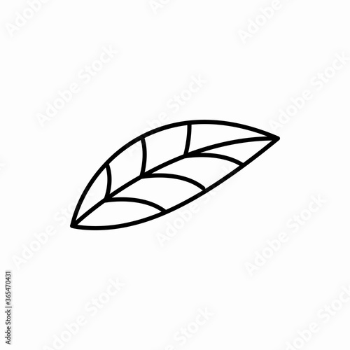 Outline leaf icon.Leaf vector illustration. Symbol for web and mobile