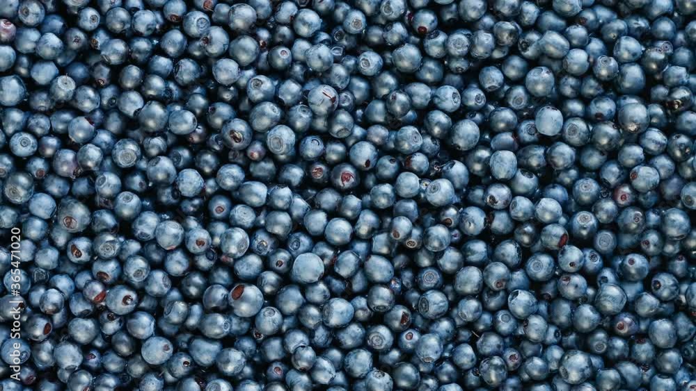 Ripe beautiful bilberries background top view, motion. Ripe beautiful bilberries background top view, motion.