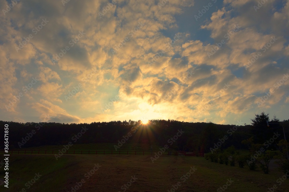 Obraz premium 夕暮れの空と森