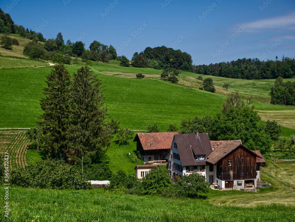 Obraz premium PIC63997-AR