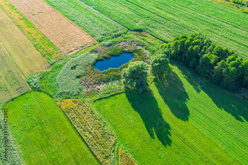 Papier peint Aerial view of natural pond surrounded by pine trees. Europe