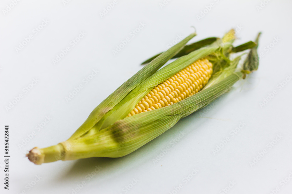yellow corn kernels in green leaves yellow corn kernels in green leaves