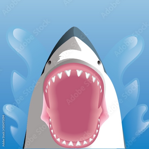 shark with opened mouth