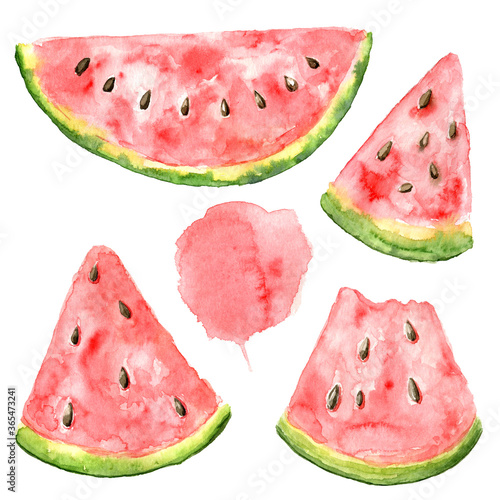 Watercolor set of watermelon pieces. Cute summer illustration with watermelon isolated on the white background. Hand drawn cliparts. 