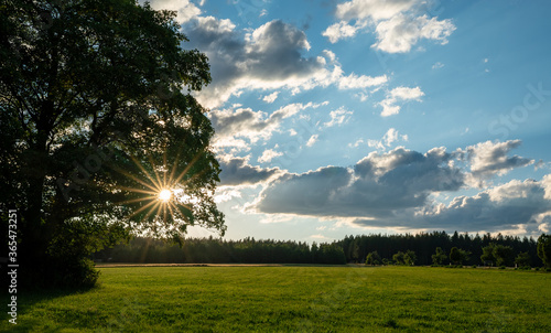 evening sun in fields and forests of southern Germany photo