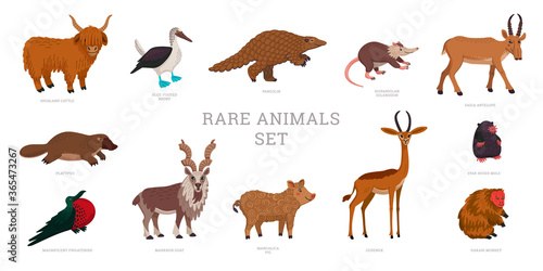 Rare animals collection. World Rarest Animals. Flat style vector illustration isolated on white background.