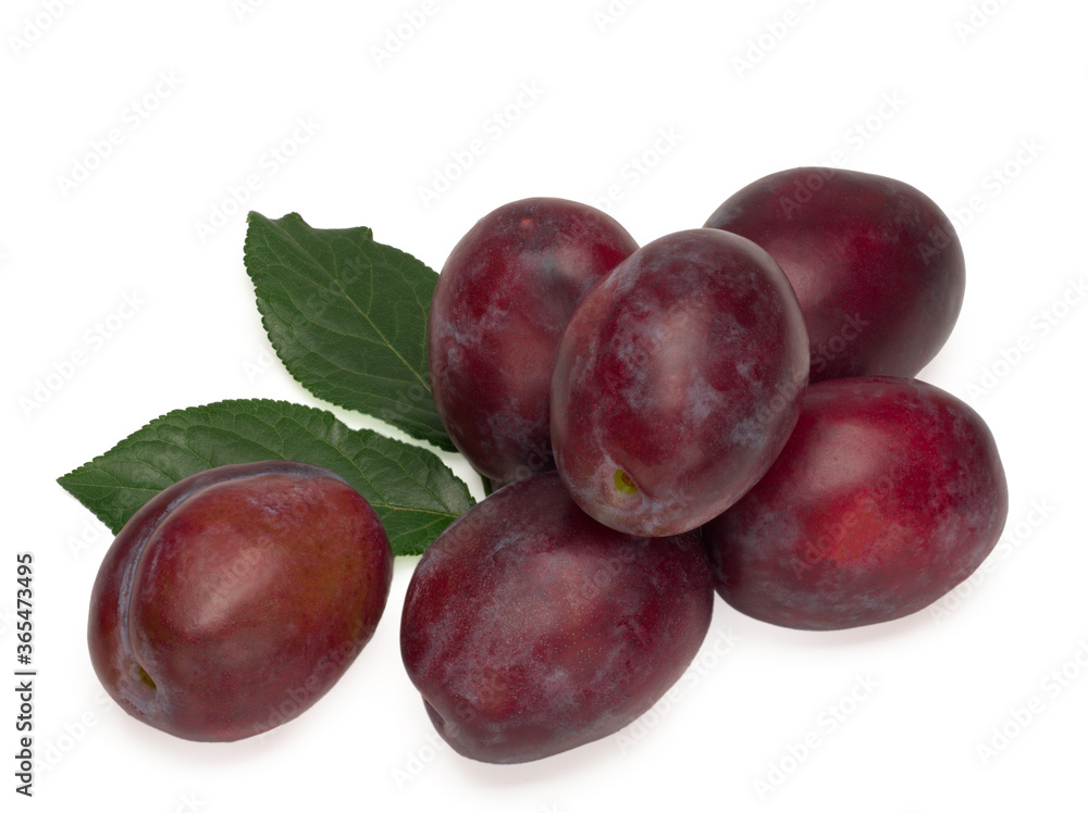 Six plums with plum leaves on a white background.