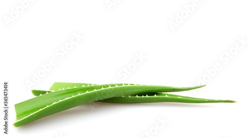 Closeup of aloe vera leaves under the lights isolated on a white background - medical concept photo