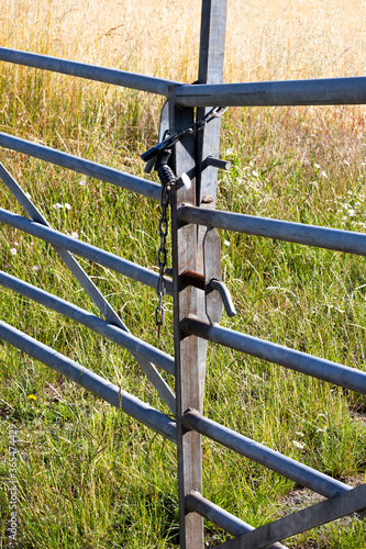 Locked metal framed farm gate to wheat crop field on the outskirts of West Tytherley village in rural Hampshire