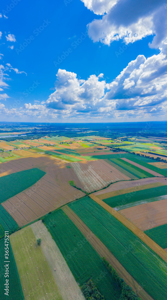 Panoramic Aerial vast green field view - Agriculture field aerial photo - Green landscapes drone photo