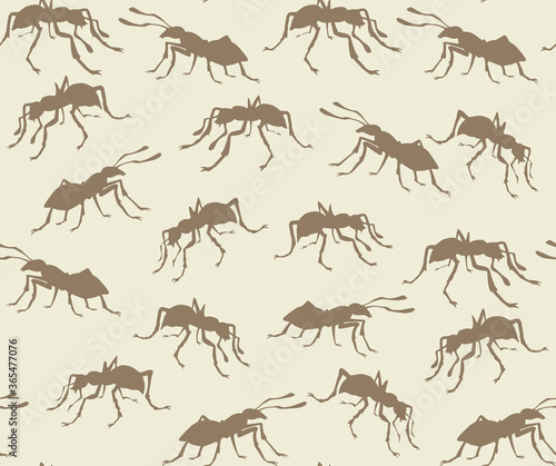 Ant. Vector drawing © Marina