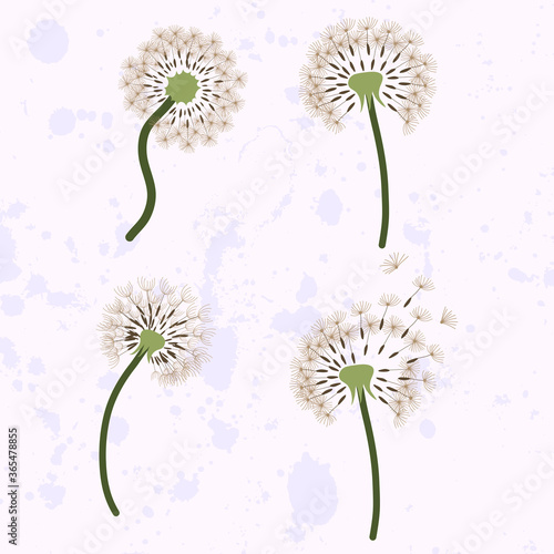Set of four dandelion with flying seeds. Illustration for greeting card, fabric, paper. Vector template.